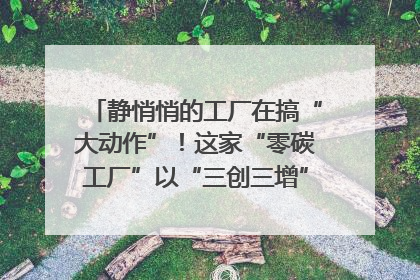 静悄悄的工厂在搞“大动作”！这家“零碳工厂”以“三创三增”探索共富新路径｜网络名人四川行
