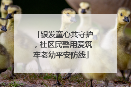 银发童心共守护，社区民警用爱筑牢老幼平安防线