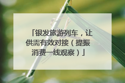 银发旅游列车，让供需有效对接（提振消费一线观察）