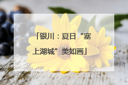 银川：夏日“塞上湖城”美如画