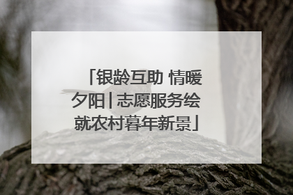银龄互助 情暖夕阳│志愿服务绘就农村暮年新景