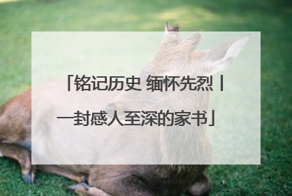 铭记历史 缅怀先烈丨一封感人至深的家书
