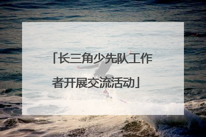 长三角少先队工作者开展交流活动