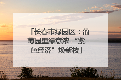 长春市绿园区：葡萄园里绿意浓 “紫色经济”焕新枝