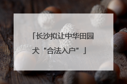 长沙拟让中华田园犬“合法入户”