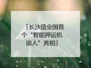 长沙造全国首个“智能押运机器人”亮相