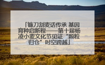 镰刀割麦话传承 基因育种启新程——第十届杨凌小麦文化节见证“颗粒归仓”时空跨越