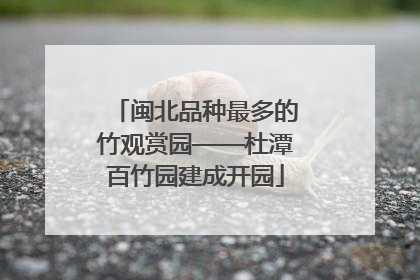 闽北品种最多的竹观赏园——杜潭百竹园建成开园