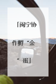 闽宁协作孵“金”蛋
