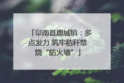 阜南县鹿城镇：多点发力 筑牢秸秆禁烧“防火墙”