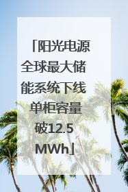 阳光电源全球最大储能系统下线 单柜容量破12.5MWh