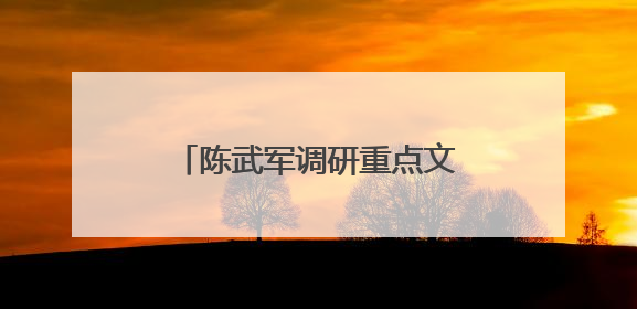 陈武军调研重点文旅项目推进情况