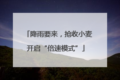 降雨要来，抢收小麦开启“倍速模式”