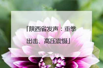 陕西省发声：重拳出击、高压震慑