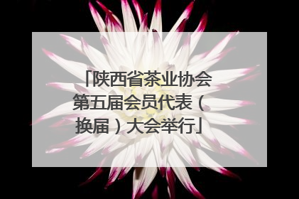 陕西省茶业协会第五届会员代表（换届）大会举行