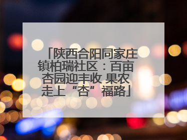 陕西合阳同家庄镇柏瑞社区：百亩杏园迎丰收 果农走上“杏”福路