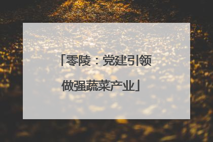 零陵：党建引领 做强蔬菜产业
