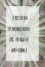 集美区：文明根深叶茂 幸福可感可触