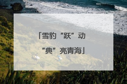 雪豹“跃”动 “典”亮青海