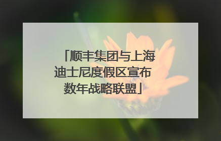 顺丰集团与上海迪士尼度假区宣布数年战略联盟
