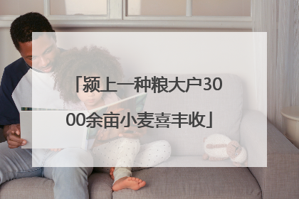 颍上一种粮大户3000余亩小麦喜丰收