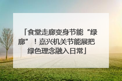 食堂走廊变身节能“绿廊”！嘉兴机关节能展把绿色理念融入日常