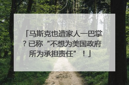 马斯克也遭家人一巴掌？已称“不想为美国政府所为承担责任”！