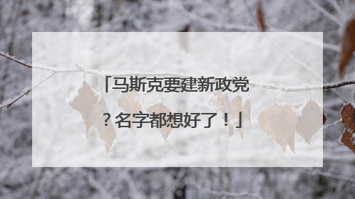 马斯克要建新政党？名字都想好了！