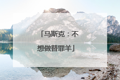 马斯克：不想做替罪羊