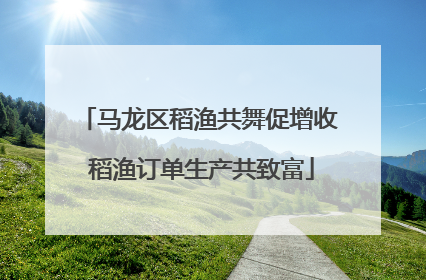 马龙区稻渔共舞促增收 稻渔订单生产共致富
