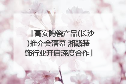 高安陶瓷产品(长沙)推介会落幕 湘赣装饰行业开启深度合作
