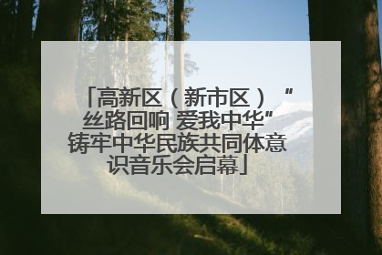 高新区（新市区）“丝路回响 爱我中华”铸牢中华民族共同体意识音乐会启幕