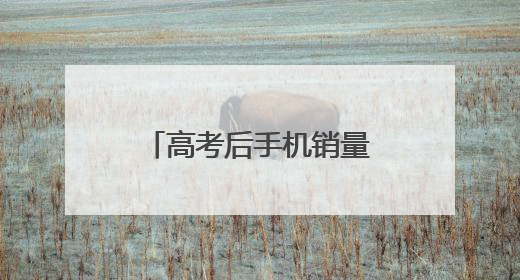 高考后手机销量翻番 学生选购更重“性价比”