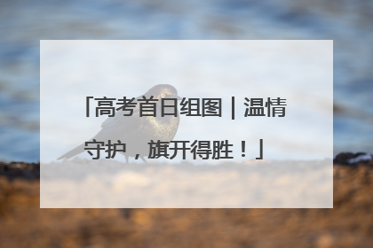 高考首日组图｜温情守护，旗开得胜！