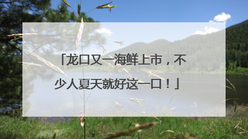 龙口又一海鲜上市，不少人夏天就好这一口！