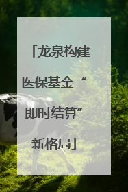 龙泉构建医保基金“即时结算”新格局