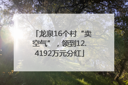 龙泉16个村“卖空气”，领到12.4192万元分红
