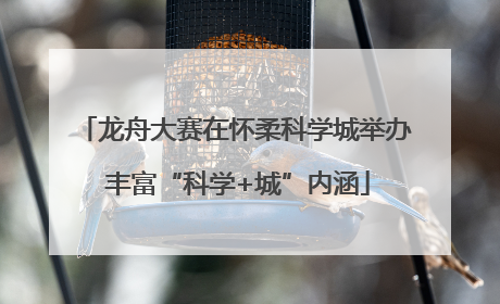 龙舟大赛在怀柔科学城举办 丰富“科学+城”内涵