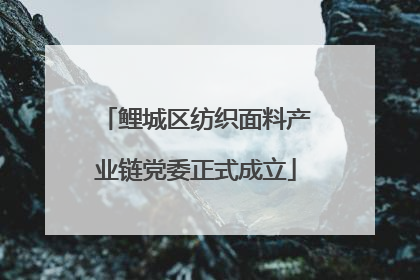 鲤城区纺织面料产业链党委正式成立