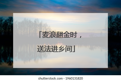 麦浪翻金时，送法进乡间