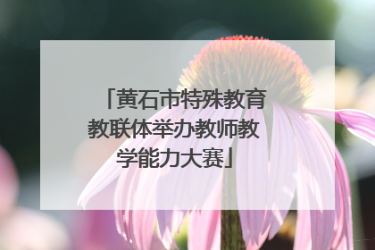 黄石市特殊教育教联体举办教师教学能力大赛