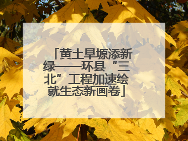 黄土旱塬添新绿——环县“三北”工程加速绘就生态新画卷