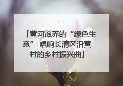 黄河滋养的“绿色生意” 唱响长清区沿黄村的乡村振兴曲