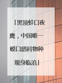 黑顶蛙口夜鹰，中国唯一蟆口鸱科物种现身临沧