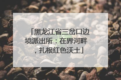 黑龙江省三岔口边境派出所：在界河畔，扎根红色沃土