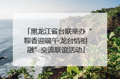 黑龙江省台联举办“粽香迎端午·龙台情相融”交流联谊活动