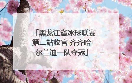 黑龙江省冰球联赛第二站收官 齐齐哈尔兰迪一队夺冠