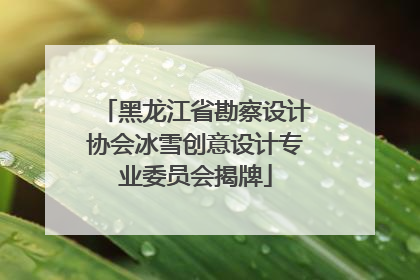 黑龙江省勘察设计协会冰雪创意设计专业委员会揭牌
