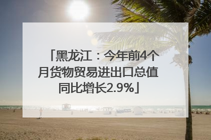 黑龙江：今年前4个月货物贸易进出口总值同比增长2.9%