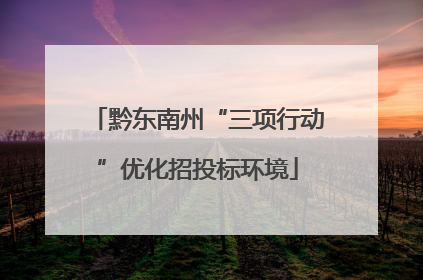 黔东南州“三项行动”优化招投标环境